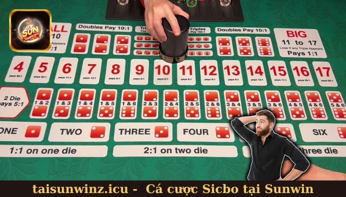 Quy trình tham gia cá cược Sicbo tại Sunwin