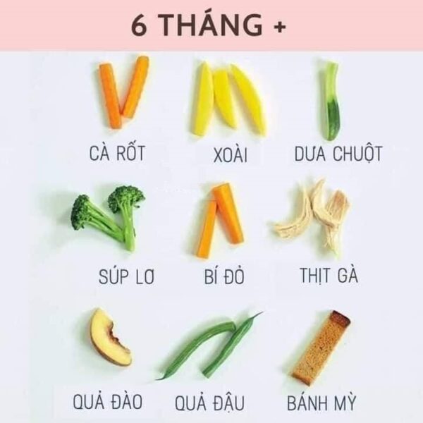 Khi trẻ mới ăn dặm, ba mẹ nên cắt thức ăn dạng que nếu chọn phương pháp ăn dặm BLW cho bé