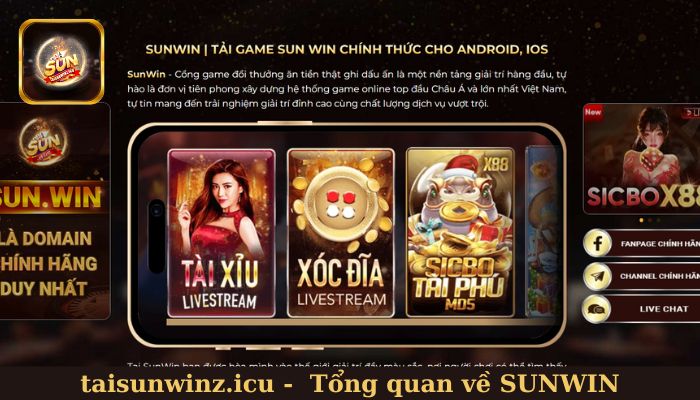 Tổng quan về cổng game Sunwin